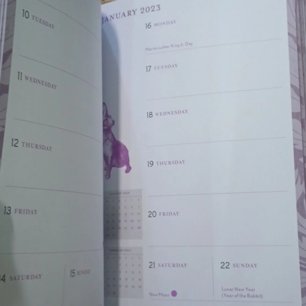 Modern-Day Witch Wheel of the Year 2023 17-Month Planner
